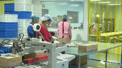 云夢(mèng)經(jīng)濟(jì)開(kāi)發(fā)區(qū) 以完善服務(wù)體系為抓手，實(shí)現(xiàn)政企雙贏的信息系統(tǒng)運(yùn)行維護(hù)新篇章